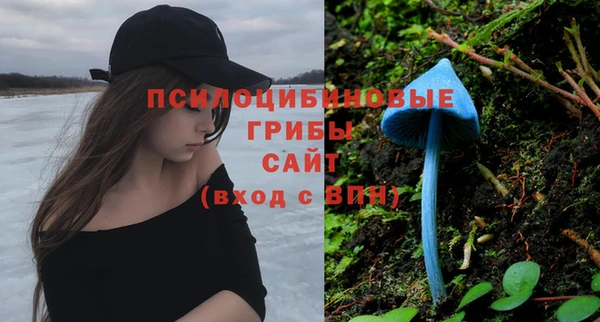 метадон Горняк