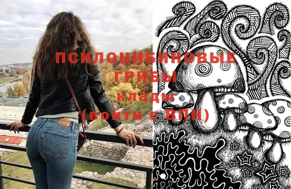 бошки Горно-Алтайск