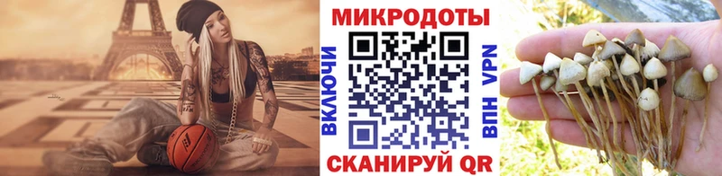Псилоцибиновые грибы ЛСД Елизово